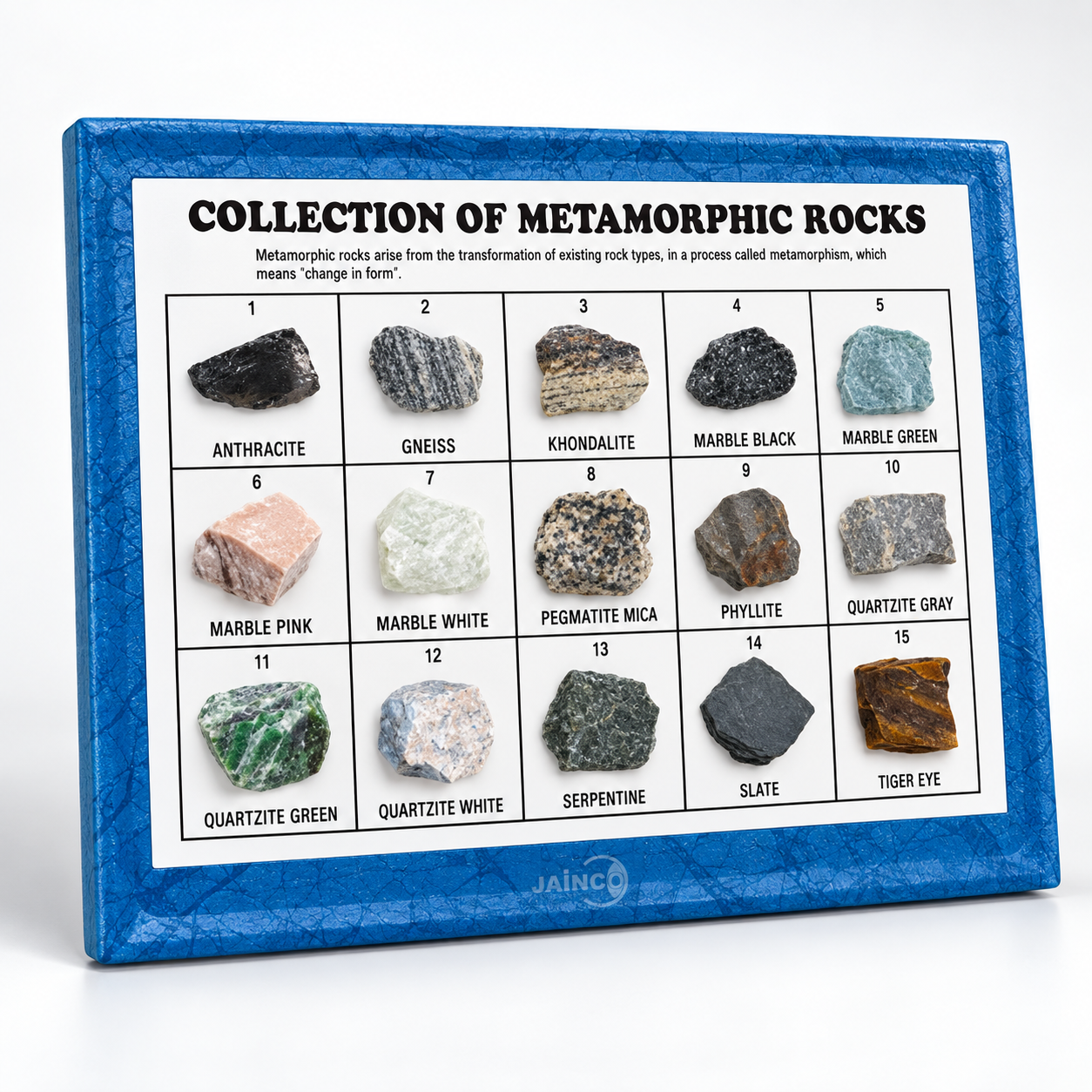 Collection of 15 Metamorphic Rocks